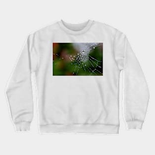 Jewelry Crewneck Sweatshirt